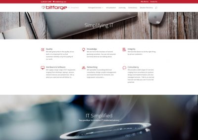 BitForge & SaintSystems